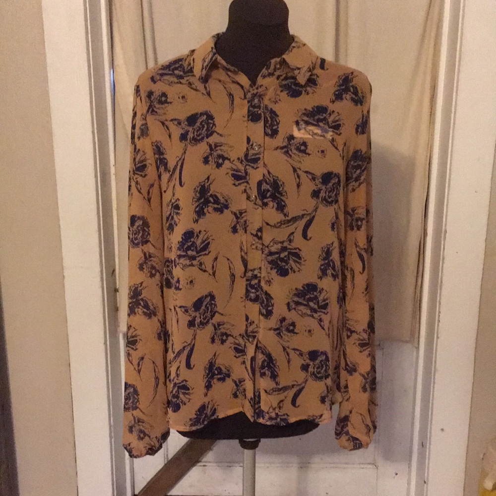 Sheer Button Down Blouse